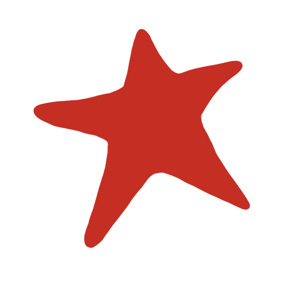 Brand identity icon